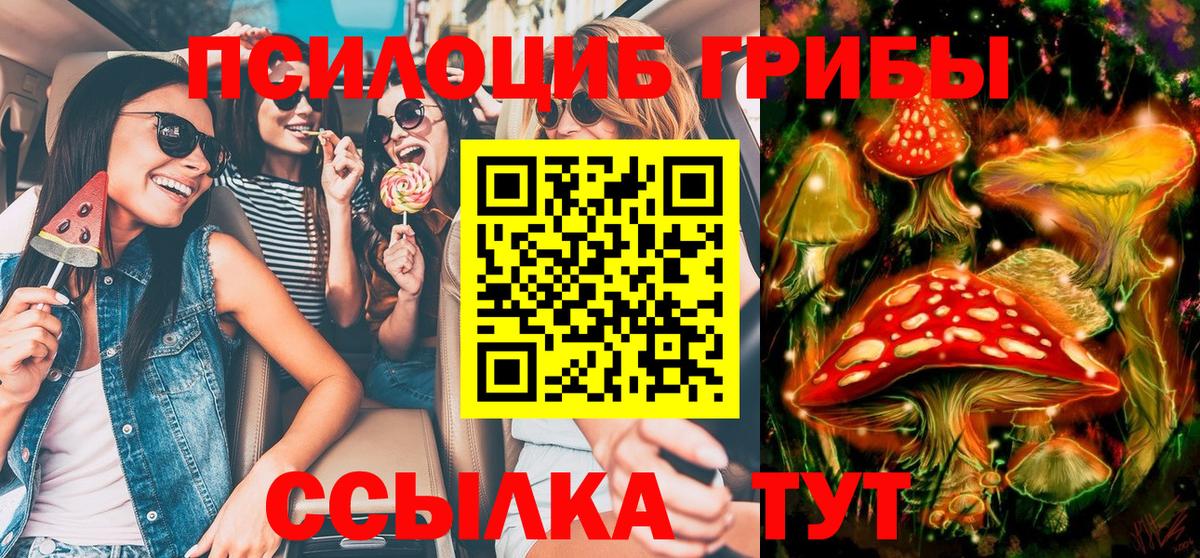 Галлюциногенные грибы Psilocybine cubensis Строитель