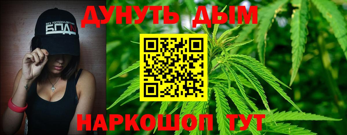 Канабис планчик  Вход с VPN  Бошки марихуана сатива  Строитель  Канабис SATIVA & INDICA 